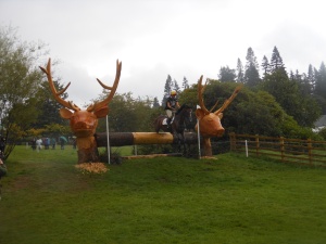 The Stags Heads